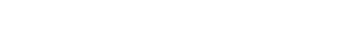 DONGFENG Armenia Logo